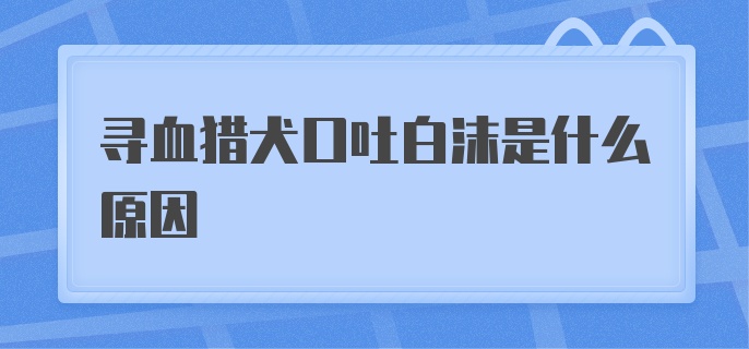 寻血猎犬口吐白沫是什么原因