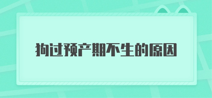 狗过预产期不生的原因