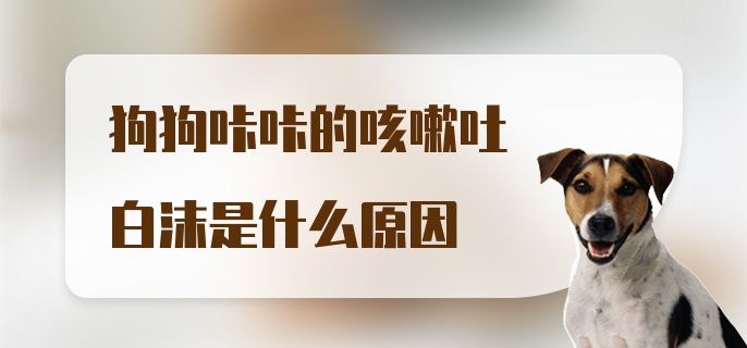 狗狗咔咔的咳嗽吐白沫是什么原因