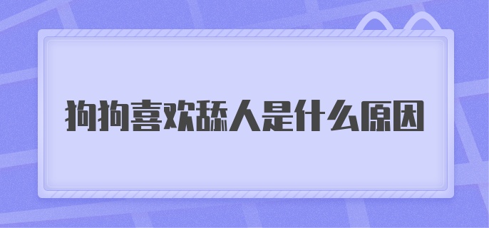 狗狗喜欢舔人是什么原因