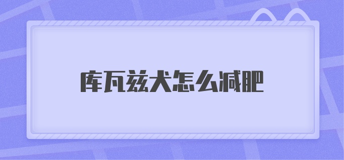 库瓦兹犬怎么减肥