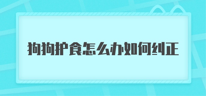 狗狗护食怎么办如何纠正