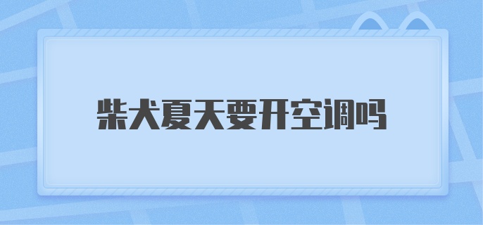 柴犬夏天要开空调吗