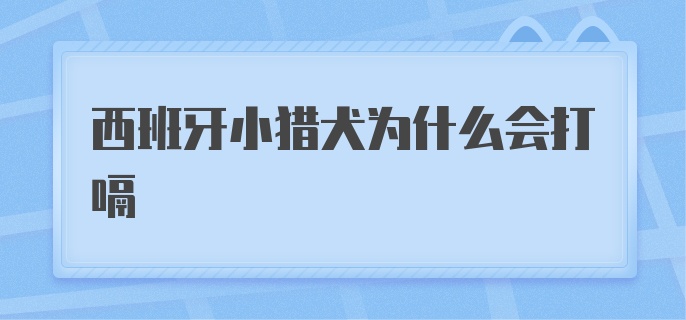 西班牙小猎犬为什么会打嗝