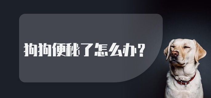 狗狗便秘了怎么办？