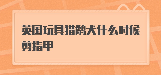 英国玩具猎鹬犬什么时候剪指甲