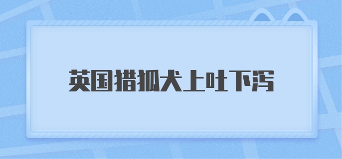 英国猎狐犬上吐下泻