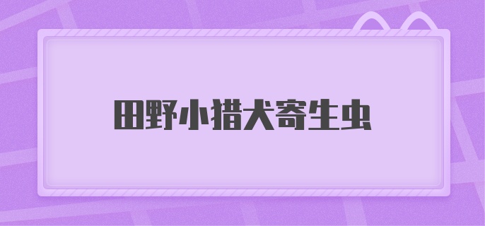 田野小猎犬寄生虫