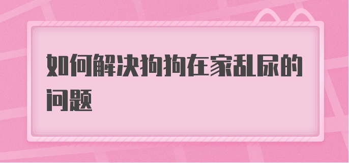 如何解决狗狗在家乱尿的问题