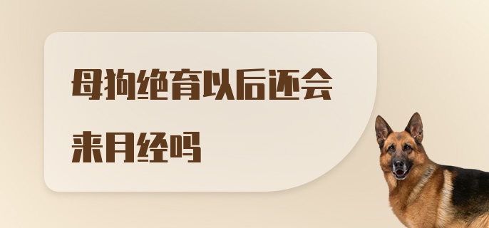 母狗绝育以后还会来月经吗