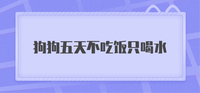 狗狗五天不吃饭只喝水