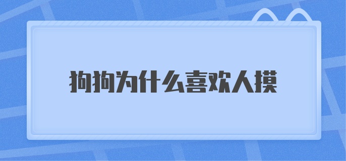 狗狗为什么喜欢人摸