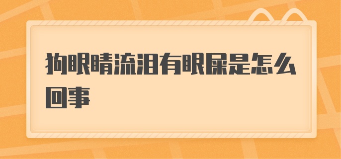 狗眼睛流泪有眼屎是怎么回事