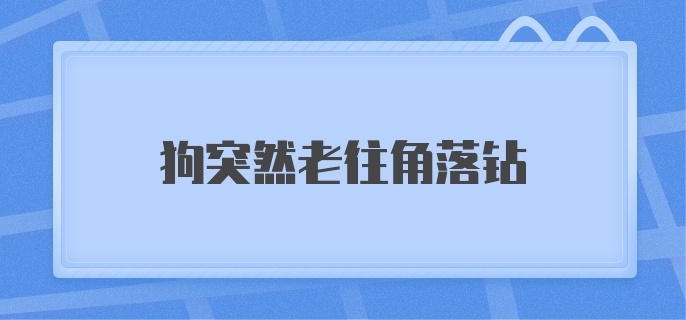 狗突然老往角落钻