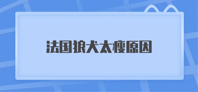 法国狼犬太瘦原因