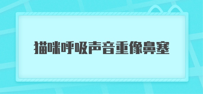 猫咪呼吸声音重像鼻塞