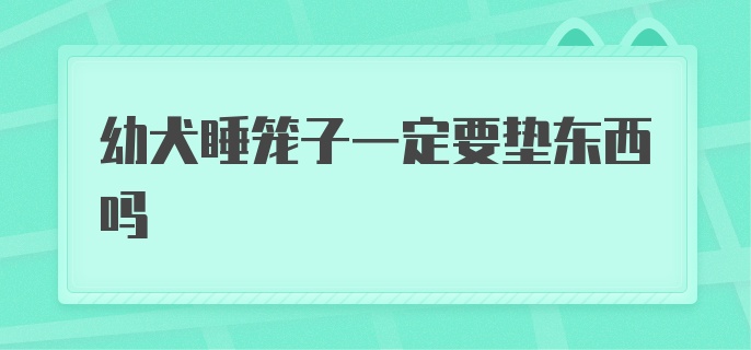 幼犬睡笼子一定要垫东西吗