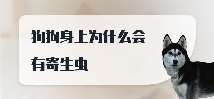 狗狗身上为什么会有寄生虫