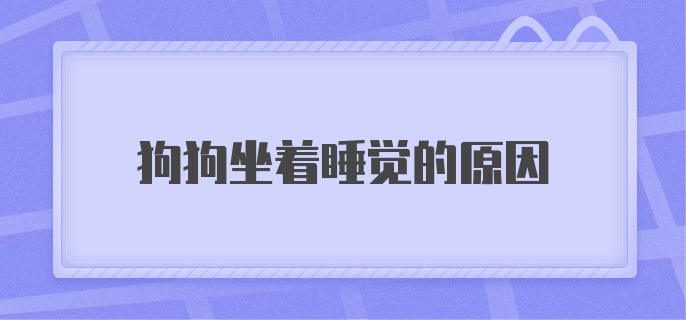 狗狗坐着睡觉的原因