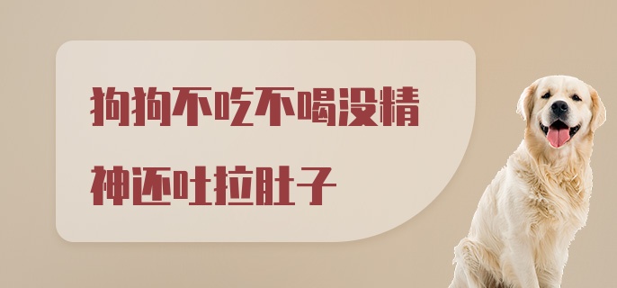 狗狗不吃不喝没精神还吐拉肚子