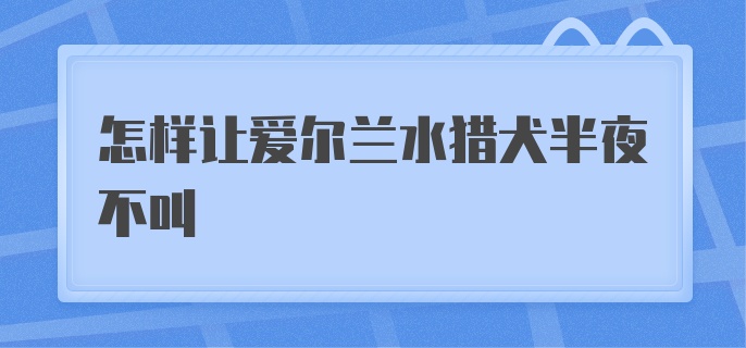 怎样让爱尔兰水猎犬半夜不叫