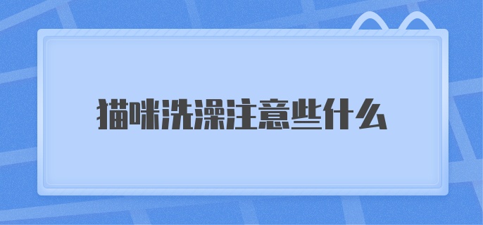 猫咪洗澡注意些什么