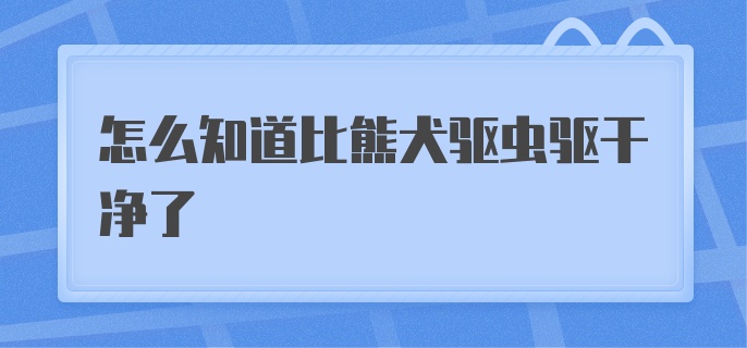 怎么知道比熊犬驱虫驱干净了