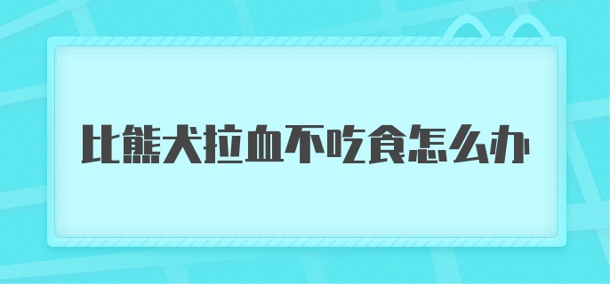 比熊犬拉血不吃食怎么办