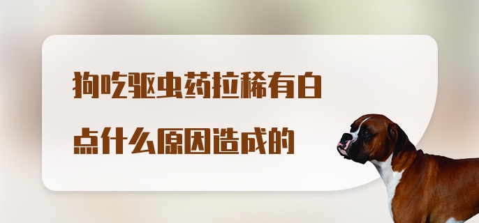 狗吃驱虫药拉稀有白点什么原因造成的