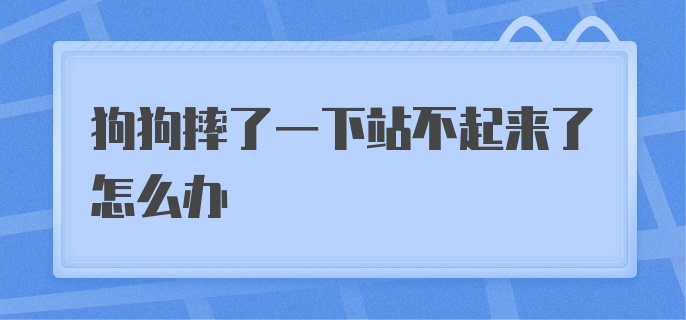 狗狗摔了一下站不起来了怎么办