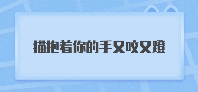 猫抱着你的手又咬又蹬