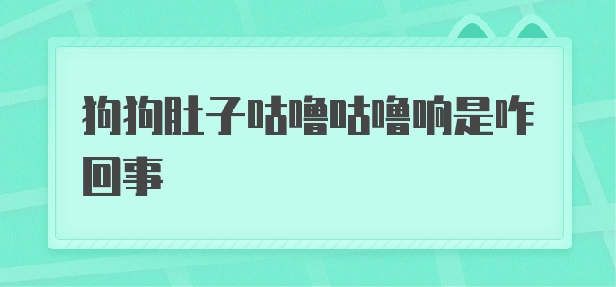 狗狗肚子咕噜咕噜响是咋回事