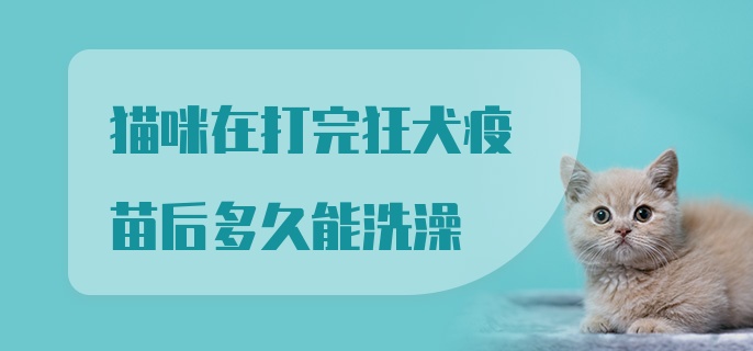 猫咪在打完狂犬疫苗后多久能洗澡