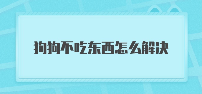 狗狗不吃东西怎么解决