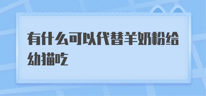 有什么可以代替羊奶粉给幼猫吃