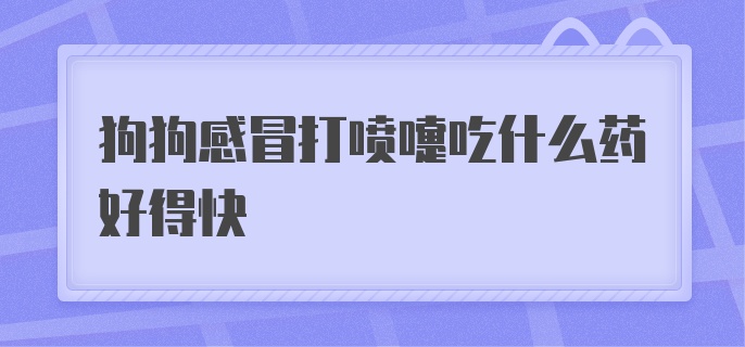 狗狗感冒打喷嚏吃什么药好得快