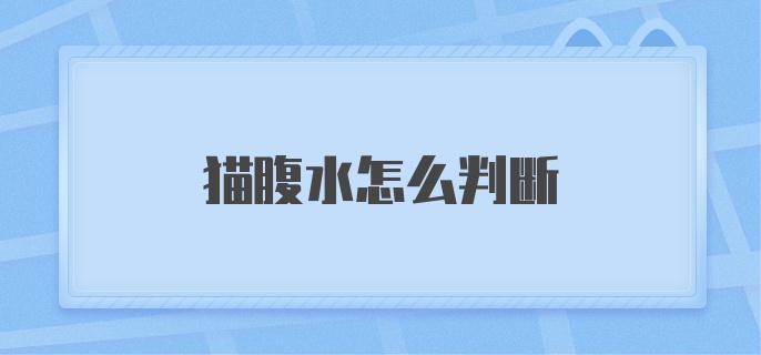 猫腹水怎么判断