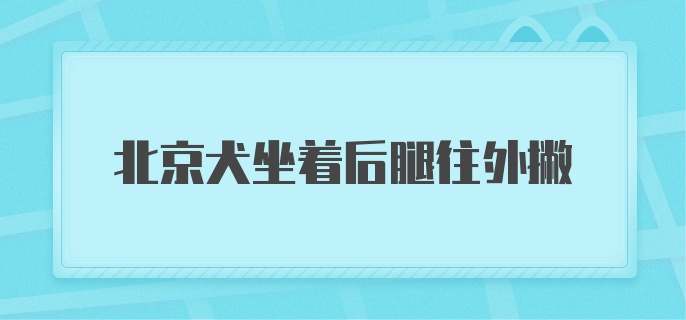 北京犬坐着后腿往外撇