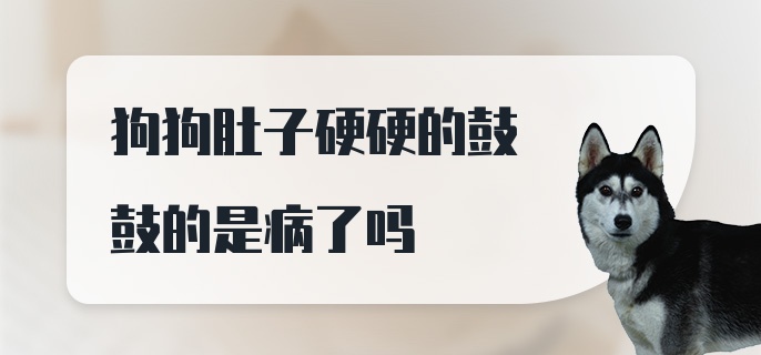 狗狗肚子硬硬的鼓鼓的是病了吗