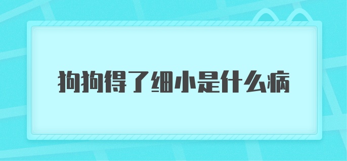 狗狗得了细小是什么病