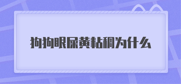 狗狗眼屎黄粘稠为什么