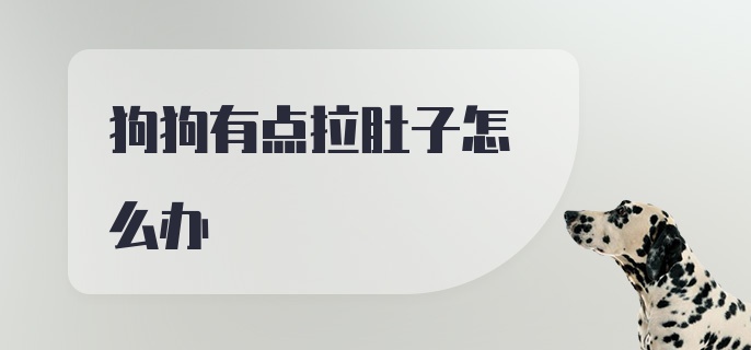 狗狗有点拉肚子怎么办