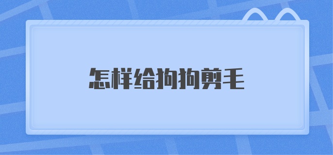 怎样给狗狗剪毛