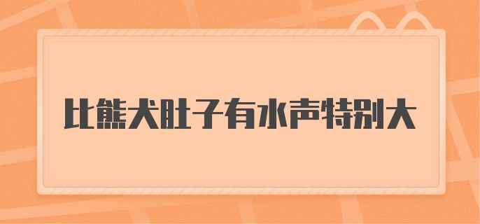 比熊犬肚子有水声特别大