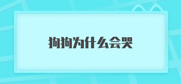 狗狗为什么会哭