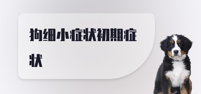 狗细小症状初期症状