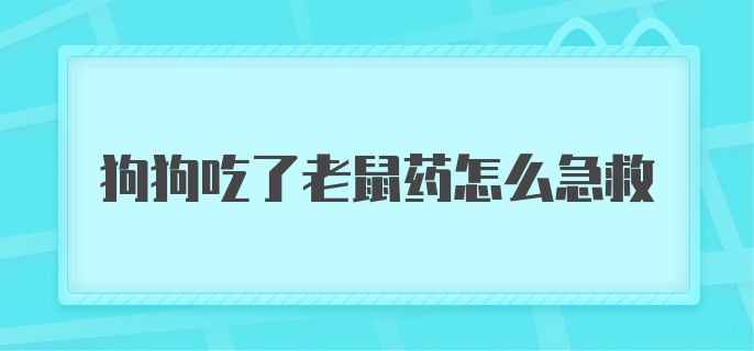 狗狗吃了老鼠药怎么办急救快