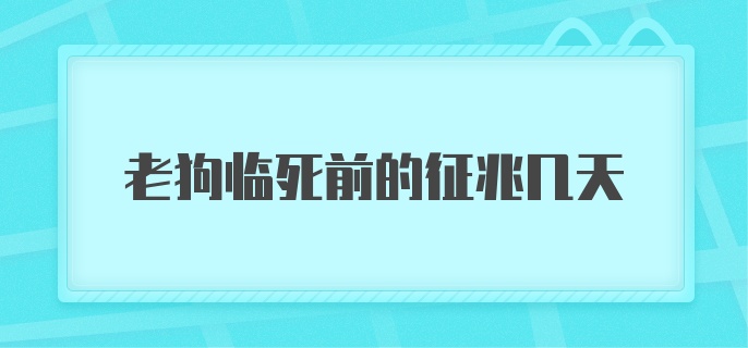 老狗临死前的征兆几天