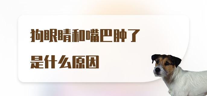 狗眼睛和嘴巴肿了是什么原因