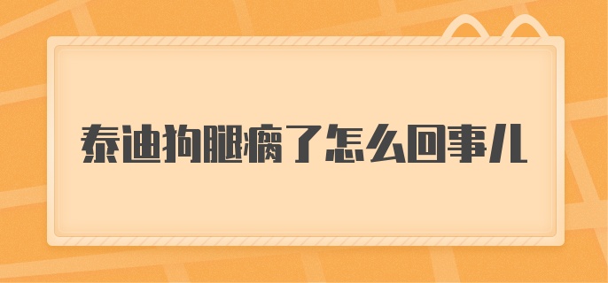 泰迪狗腿瘸了怎么回事儿